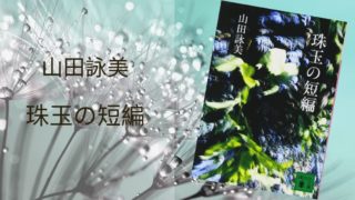 梨木果歩 椿宿の辺りに 感想 入りくんだ痛みとは何かを問う 傑作長編 雑記ブログ いちいちくらくら日記