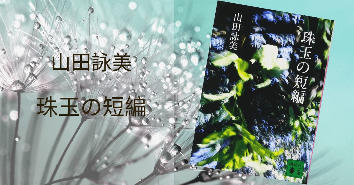 山田詠美 珠玉の短編 感想 最高の顰蹙をあなたに 雑記ブログ いちいちくらくら日記
