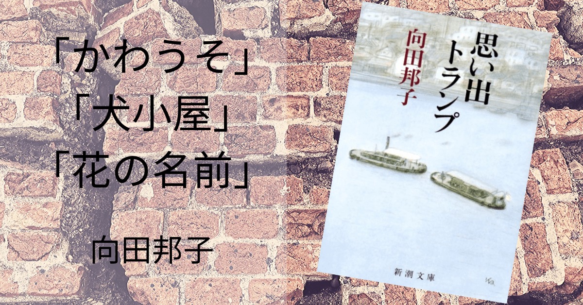 向田邦子 思い出トランプ より かわうそ 犬小屋 花の名前 の感想 雑記ブログ いちいちくらくら日記